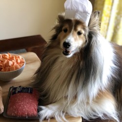 Chef Bella Martin