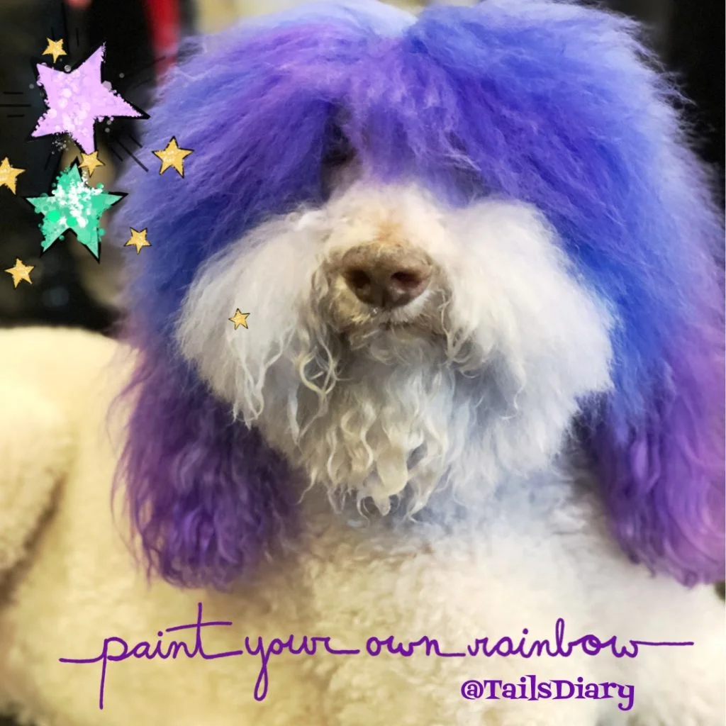 Because purple is a fashion statement