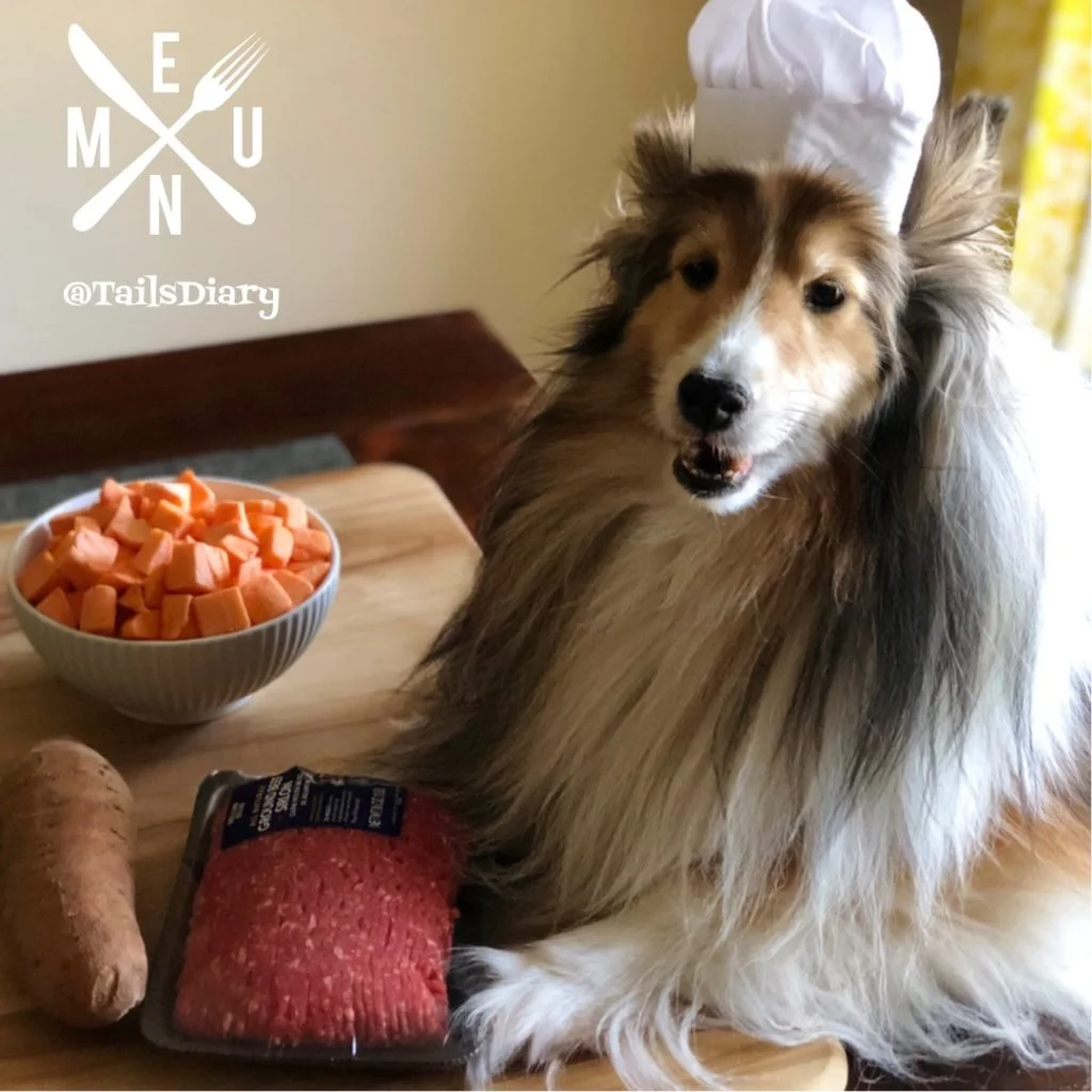 Homemade dog outlet food for shelties