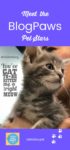 Meet the BlogPaws Stars