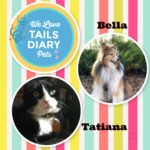 TailsDiary Pet Stars are Bella and Tatiana