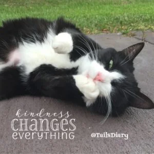 Tatiana, kindness changes everything