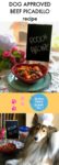A freezer friendly dog recipe ready in a few minutes
