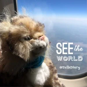 I am Lince the travel ambassador