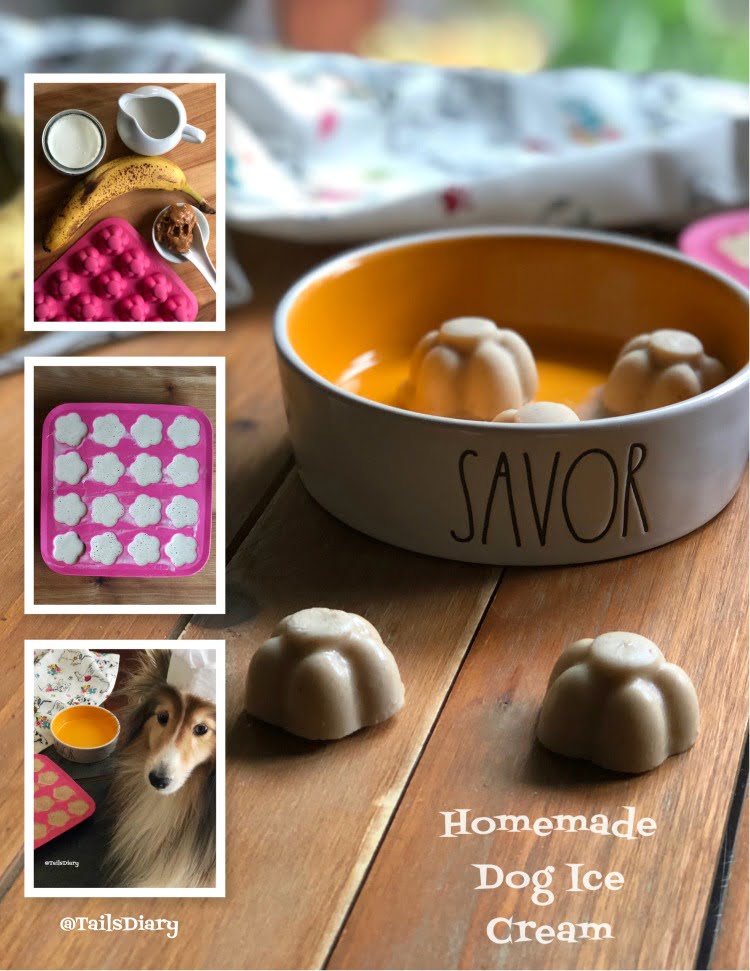 TASTY Homemade Recipes - HOMEMADE DOG ICE CREAM!! :dog: Recipe