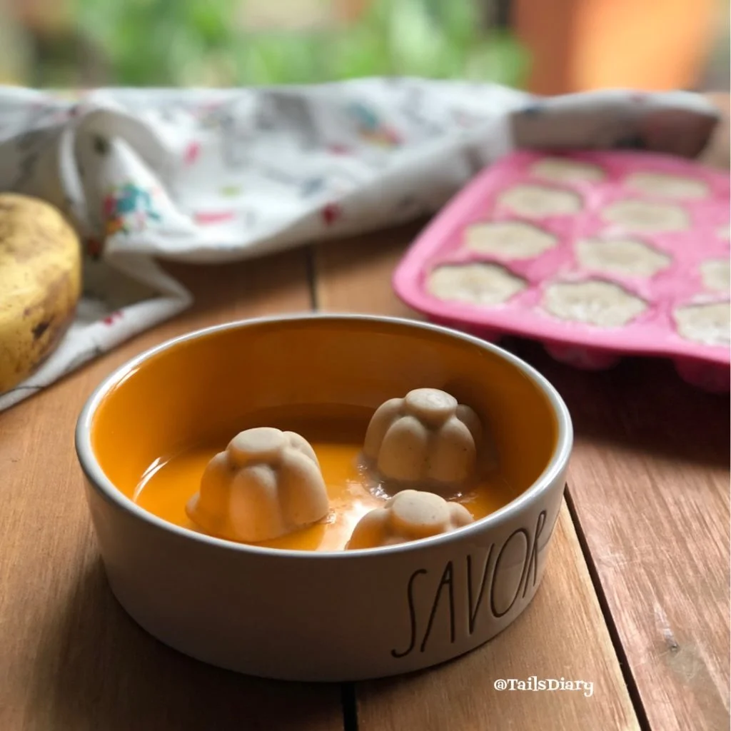 Dog Ice Cream Recipe with bananas, almond butter, yogurt, and almond milk.
