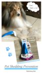 How to prevent Pet Shedding. Few tips and remedies for cats and dogs.
