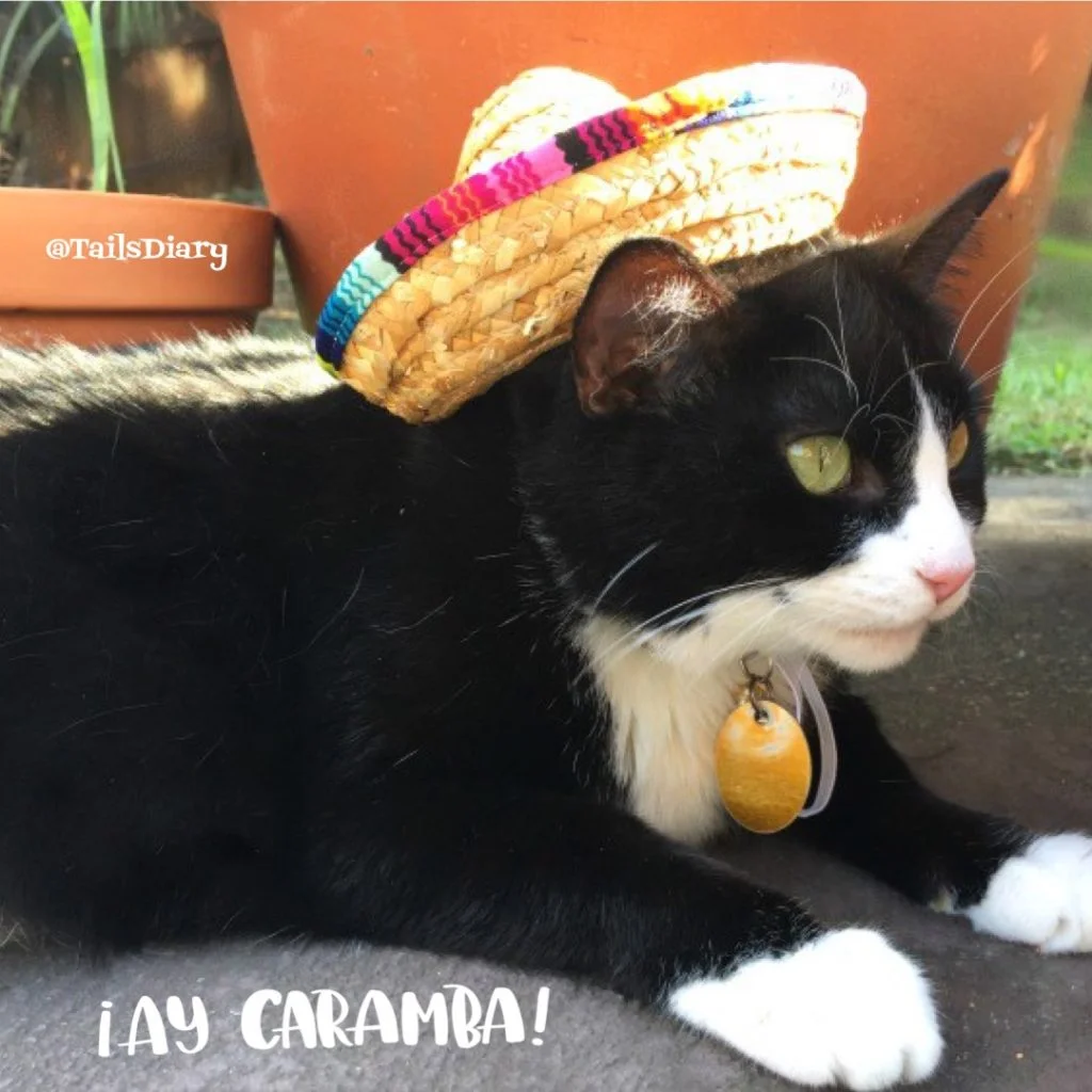 Ay Caramba Tatiana has a sombrero