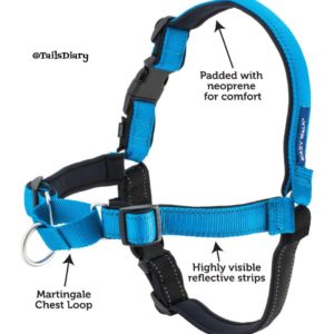 PetSafe Harness PetSafe Harness