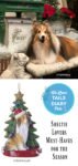 Sheltie Lovers Must-Haves for the Season