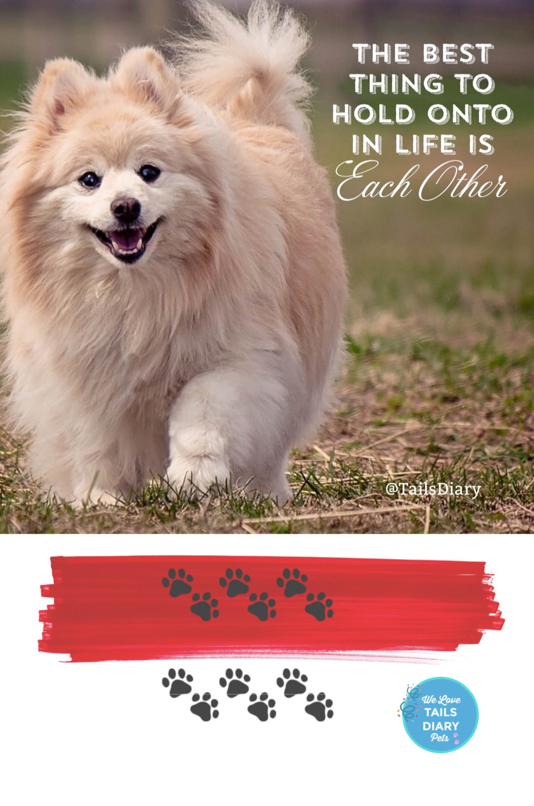 Love Your Pet Day February 20