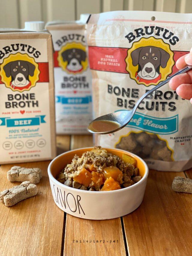 Bone broth beef picadillo for dogs
