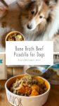 Bone Broth Beef Picadillo For Dogs an easy recipe for pets